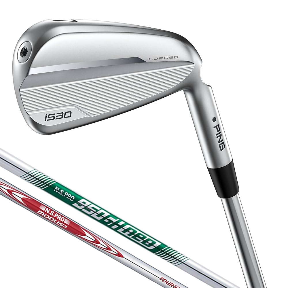 Amazon.co.jp: Pin i530 Iron Steel NS950NEO MODUS105 Set of 5
